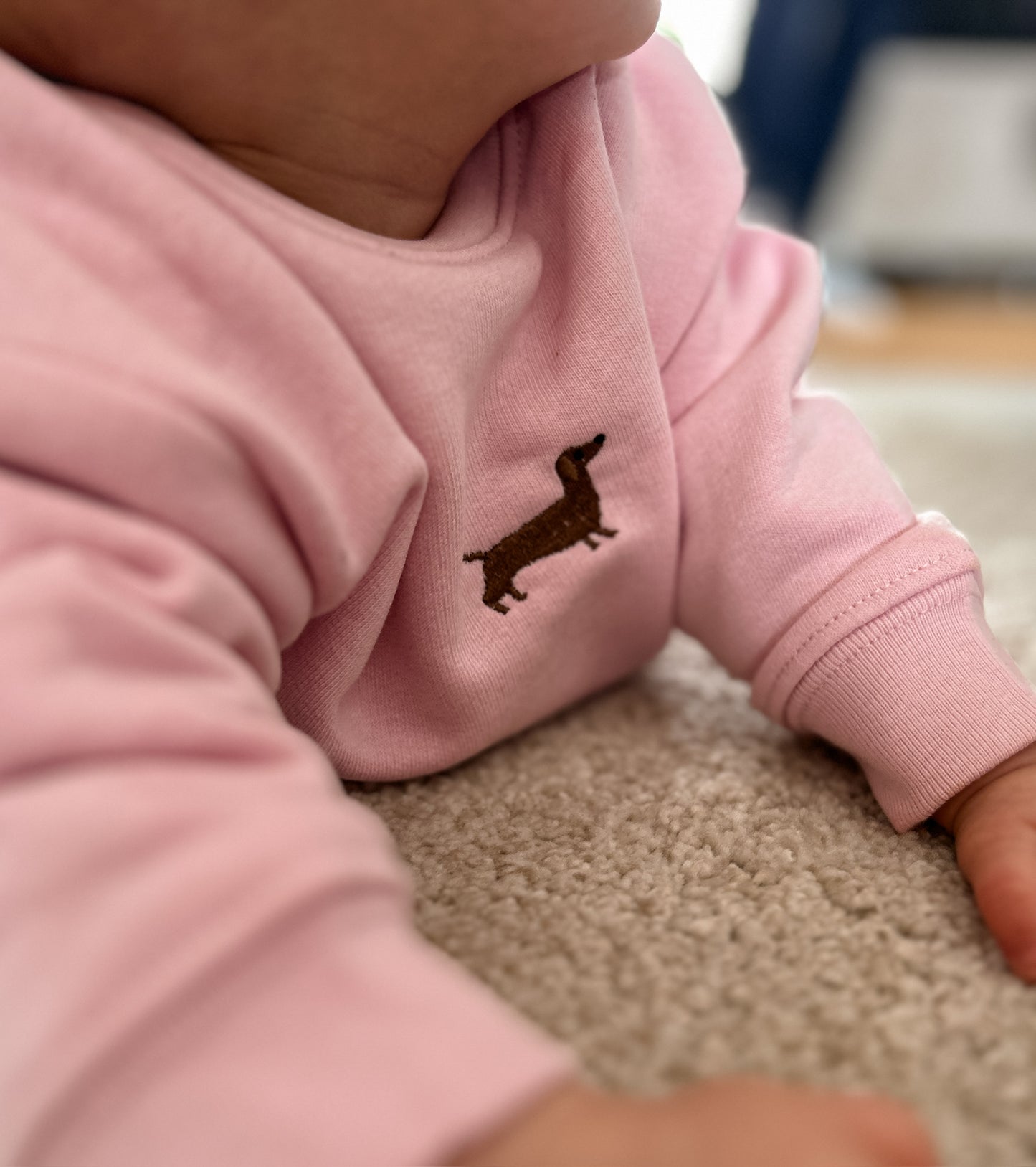 Baby-Sweatshirt mit Dackel-Stick