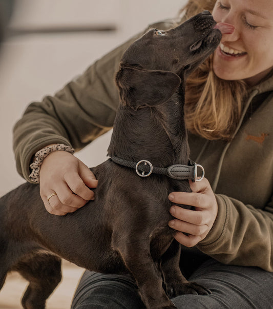 Hoodie mit Dackel - Stick - tierly - Shirt